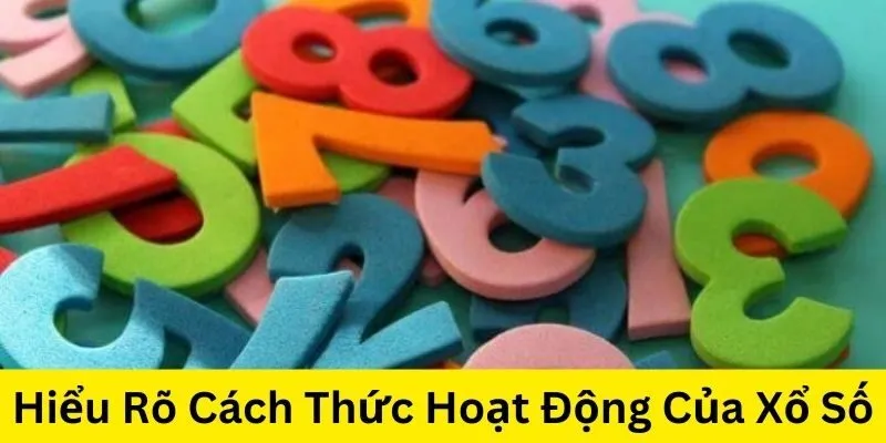 Hiểu rõ cách thức hoạt động trong bí quyết tăng tỷ lệ trúng xổ số