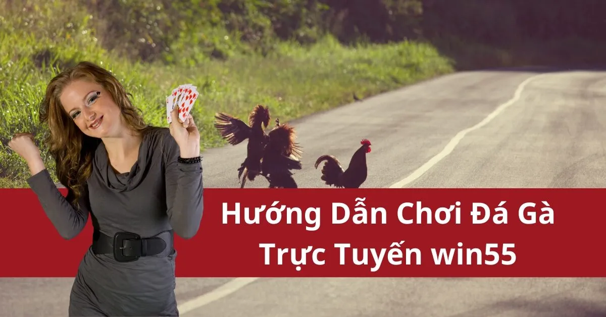 Hướng Dẫn Chơi Đá Gà Trực Tuyến win55