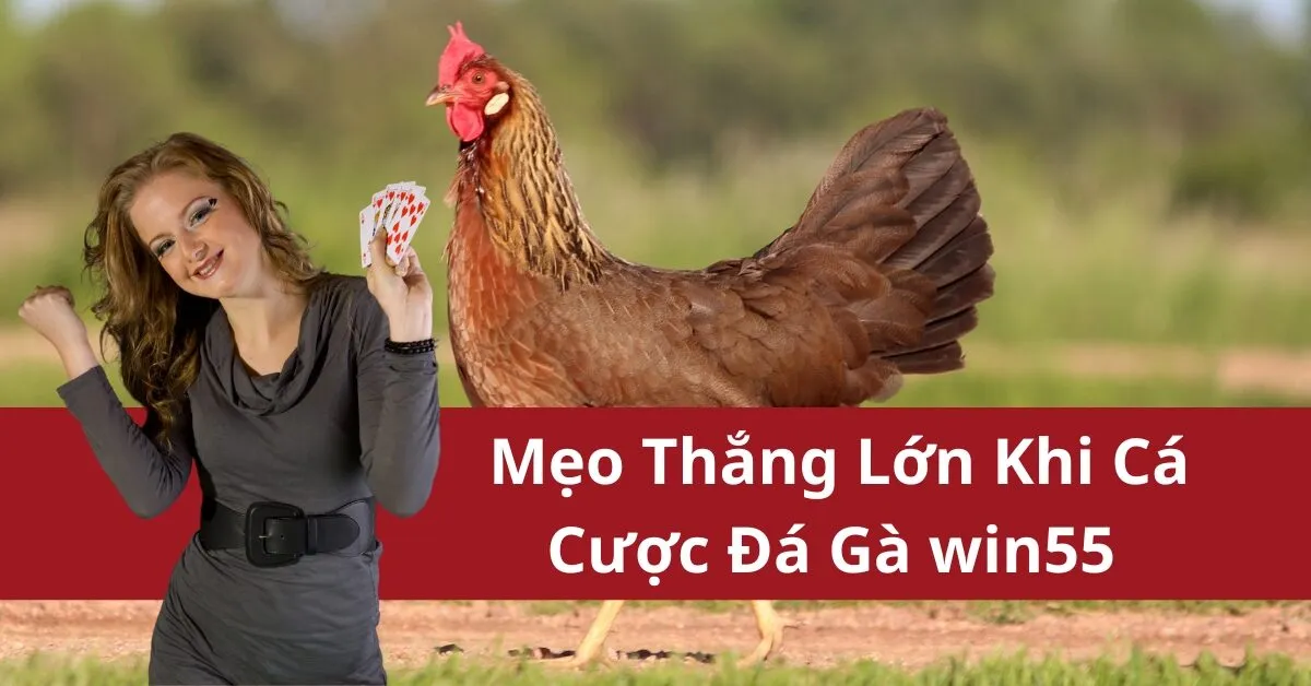 Mẹo Thắng Lớn Khi Cá Cược Đá Gà win55 