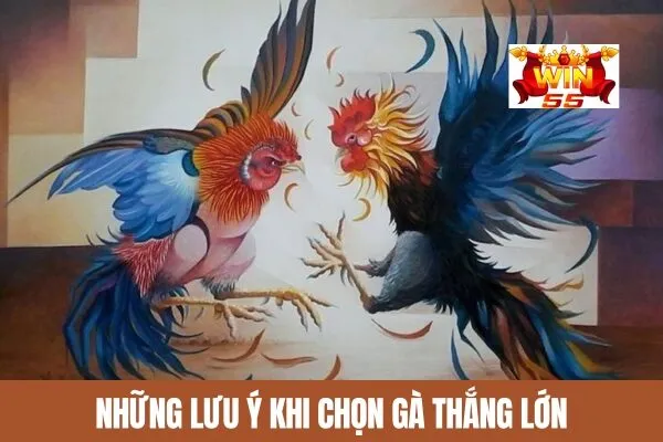 Những Lưu Ý Khi Chọn Gà Thắng Lớn