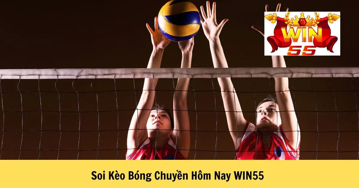 Soi Kèo Bóng Chuyền