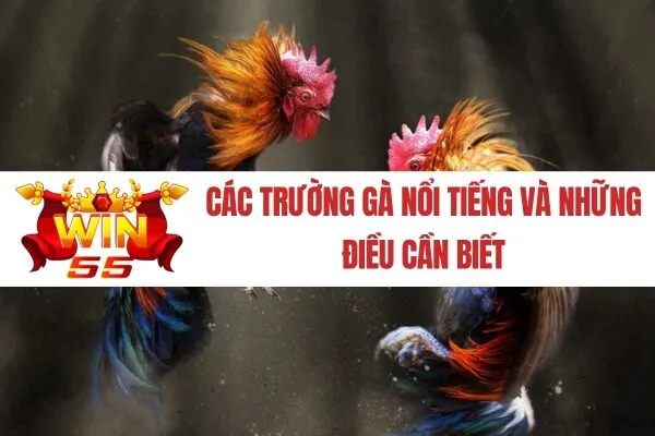 Các Trường Gà Nổi Tiếng Và Những Điều Cần Biết